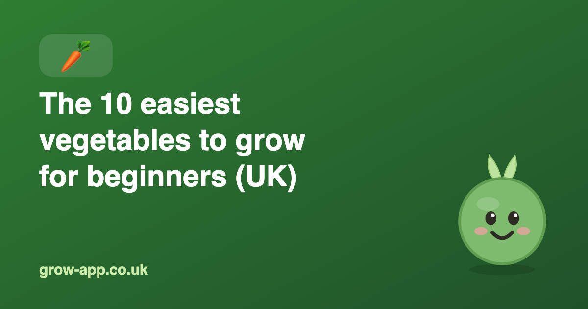 The 10 easiest vegetables to grow for beginners (UK)