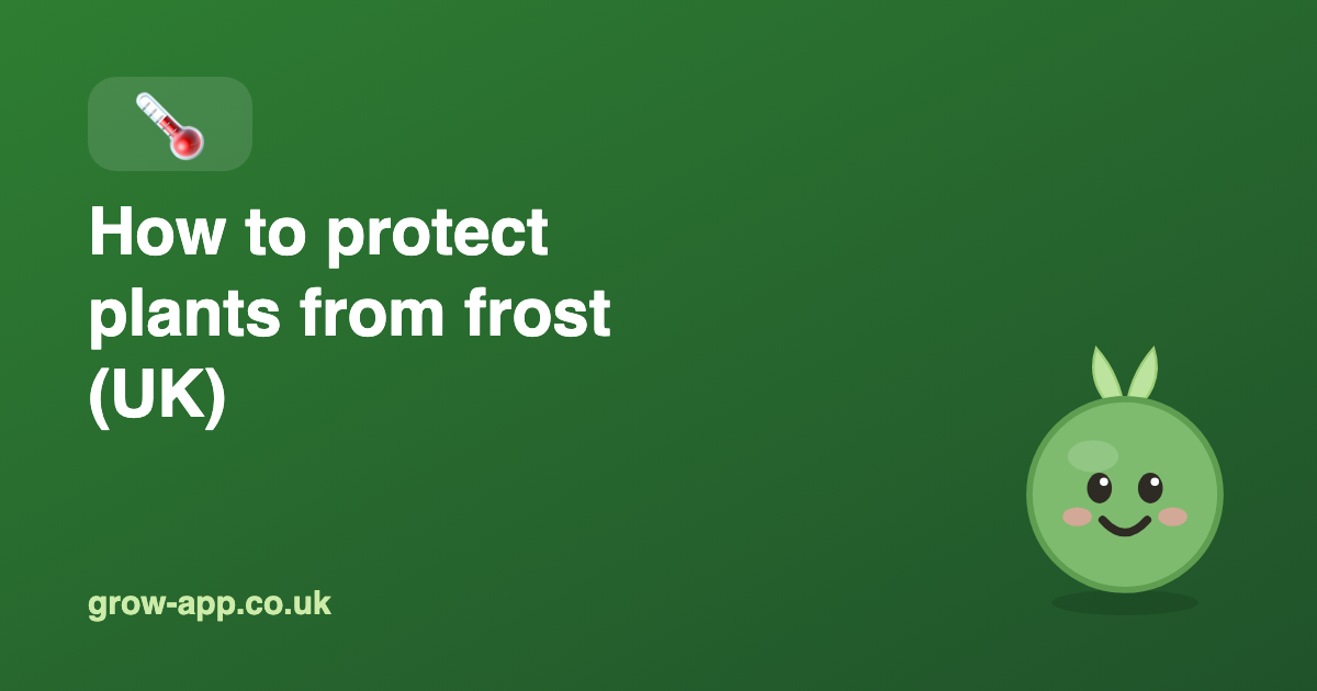 How to Protect Plants from Frost (UK Guide)