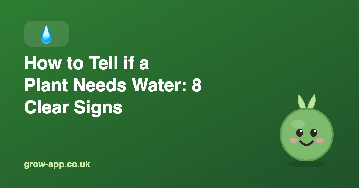 How to Tell if a Plant Needs Water: 8 Clear Signs