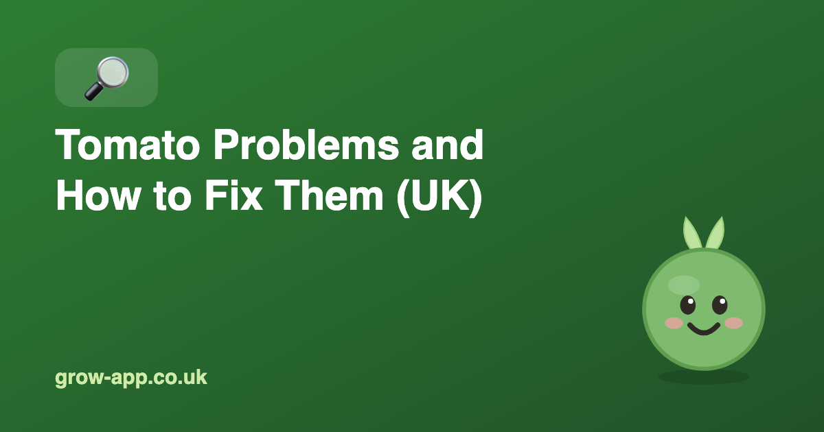 Tomato Problems and How to Fix Them in the UK