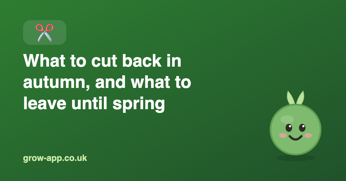 What to Cut Back in Autumn (and What to Leave)