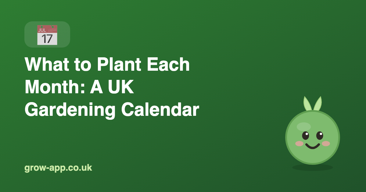 What to Plant Each Month: A UK Gardening Calendar