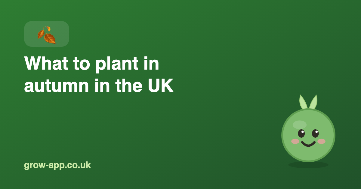 What to plant in autumn in the UK