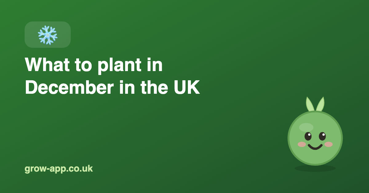 What to Plant in December in the UK