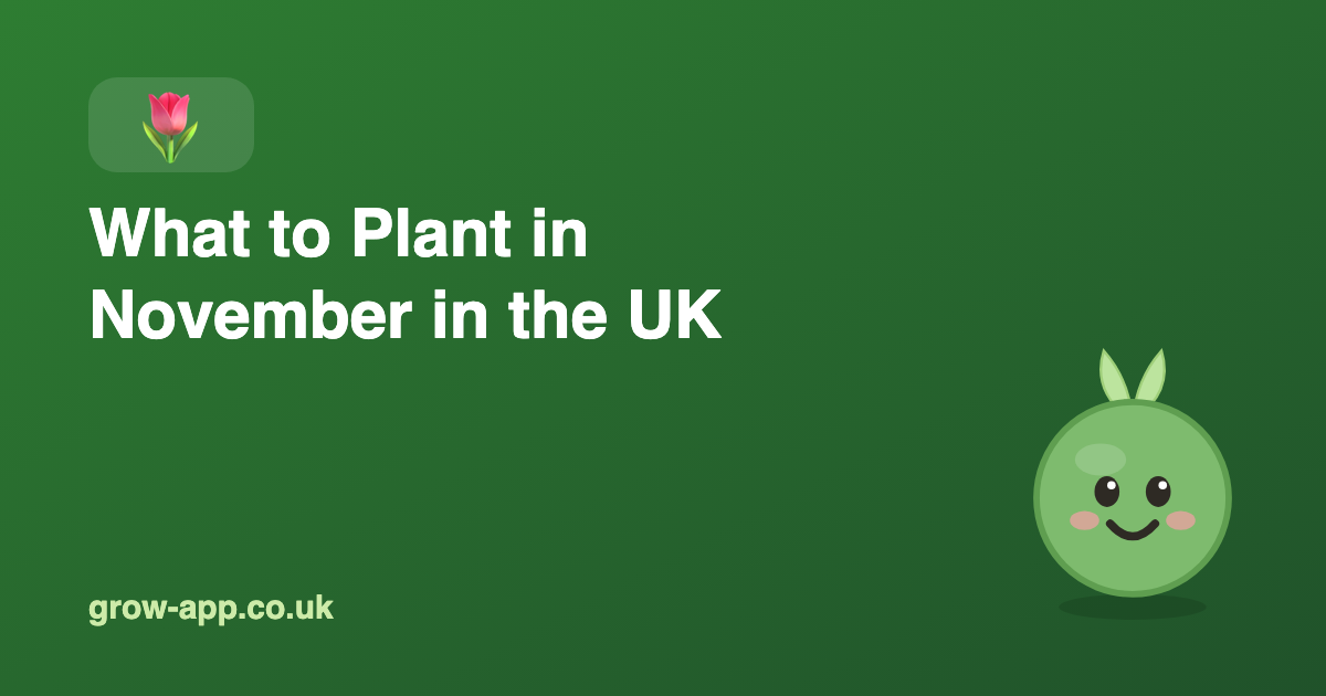 What to Plant in November in the UK