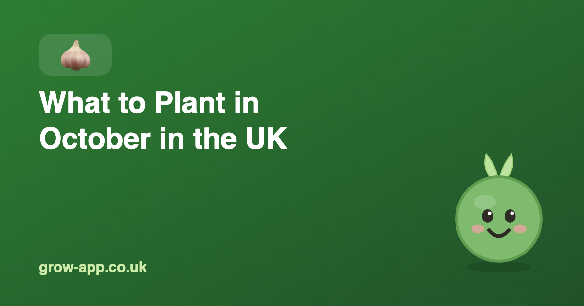 What to Plant in October in the UK