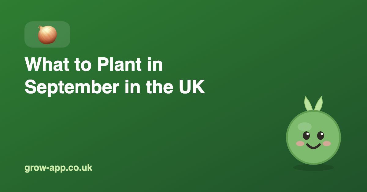 What to Plant in September in the UK