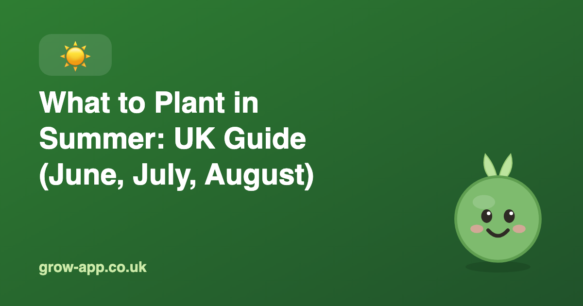 What to Plant in Summer: UK Guide (June, July, August)