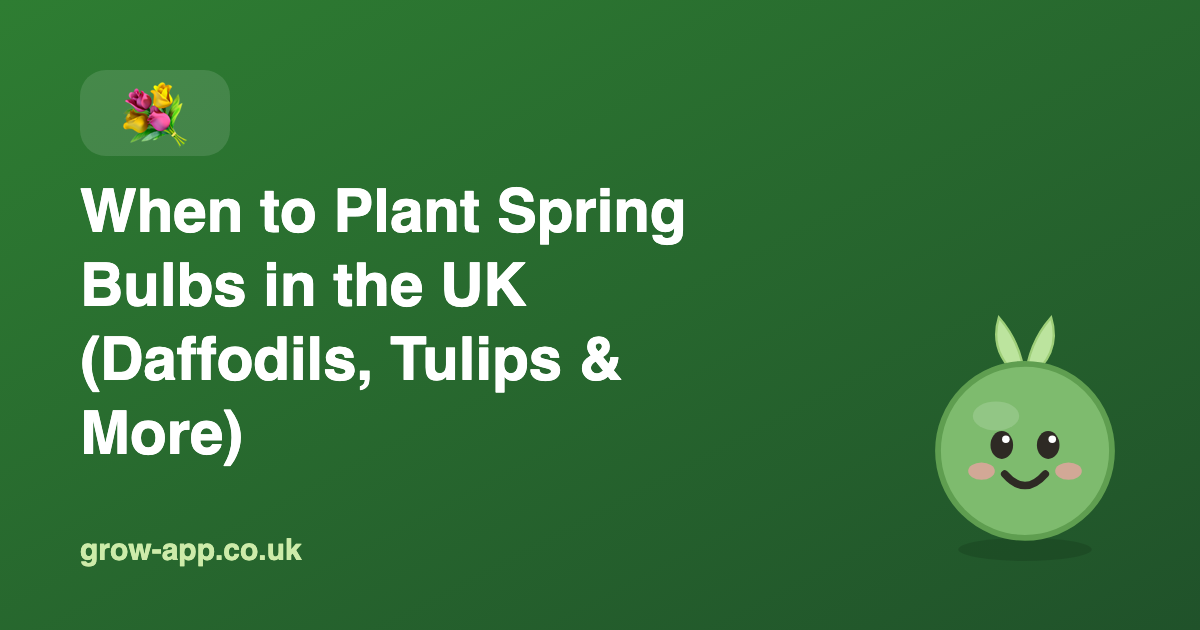 When to Plant Spring Bulbs in the UK (Daffodils, Tulips & More)