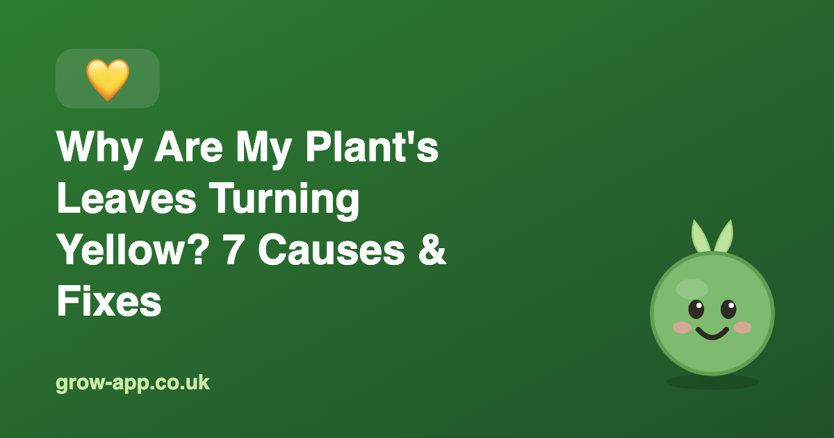 Why Are My Plant's Leaves Turning Yellow? 7 Causes & Fixes